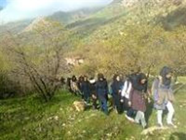 هر هفته کوهپیمایی دانشجویی برگزار می شود .